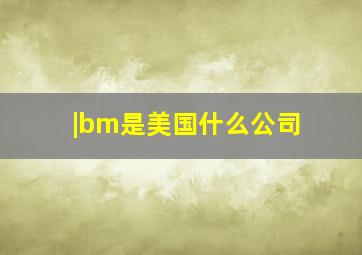 |bm是美国什么公司